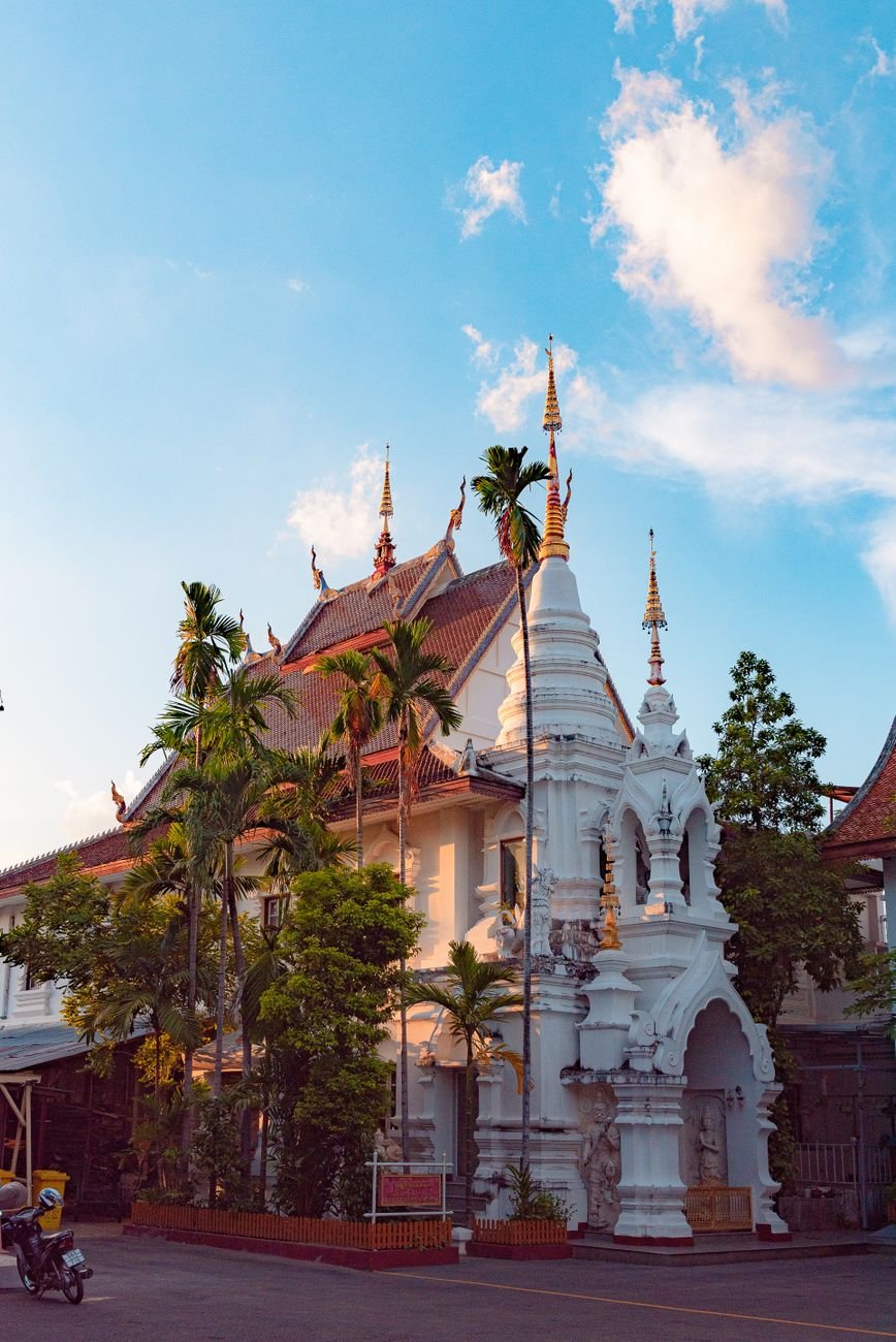 wat chiang man among palm trees