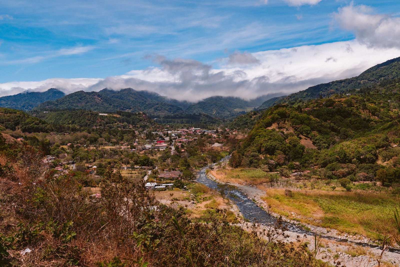 aerial photography of river